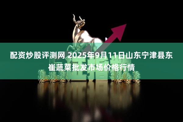 配资炒股评测网 2025年9月11日山东宁津县东崔蔬菜批发市场价格行情