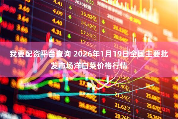 我要配资平台查询 2026年1月19日全国主要批发市场洋白菜价格行情